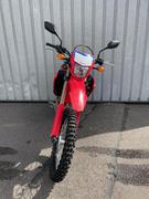 HONDA CRF 300 (4)
