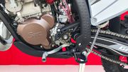 GPX TSE 300R 2 stroke 2025 (3)